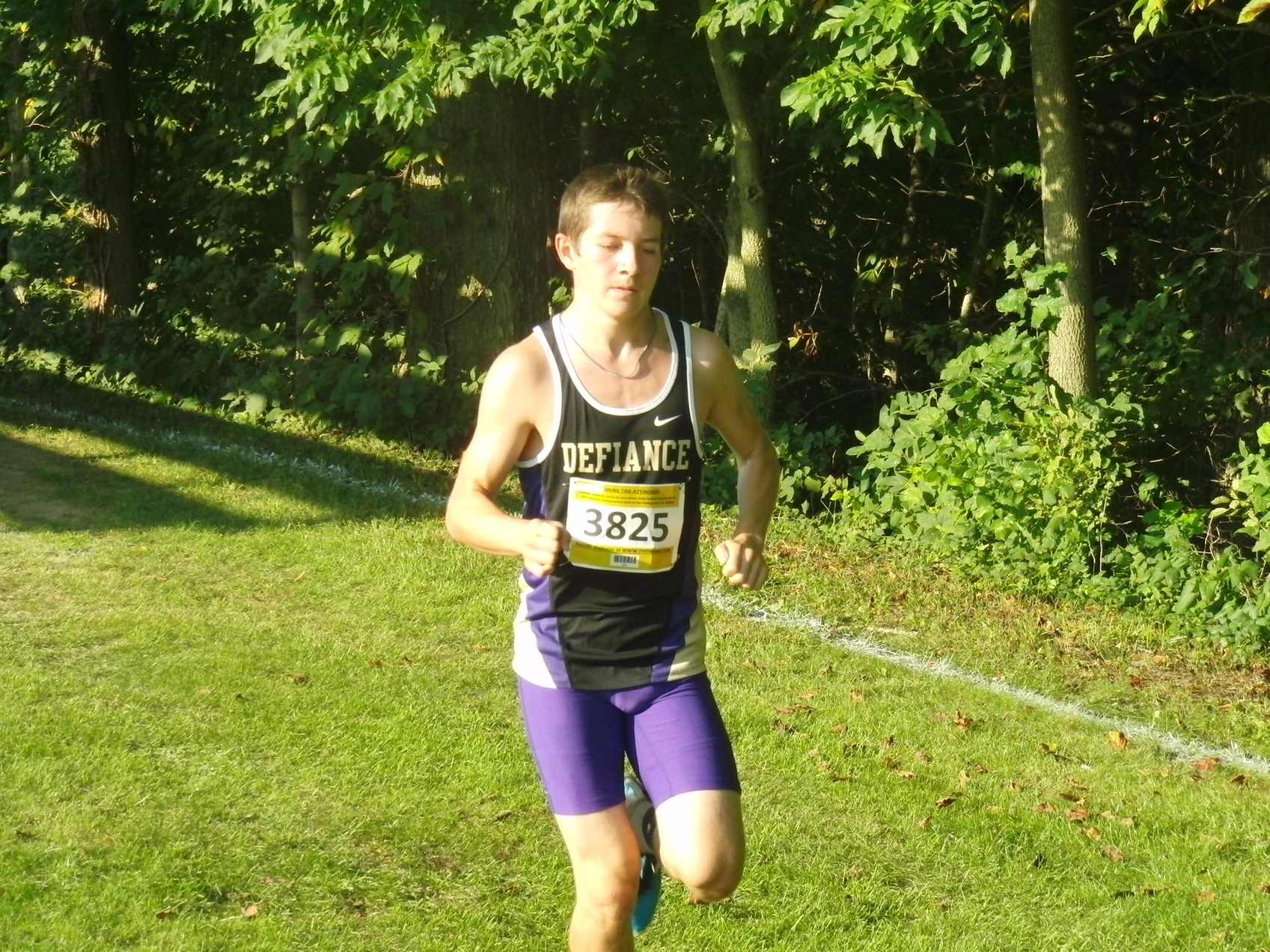 Men's Cross Country Competes at the Penn State Behrend Meet