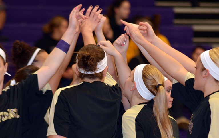 Yellow Jackets Fall to Spartans at Home in HCAC Clash