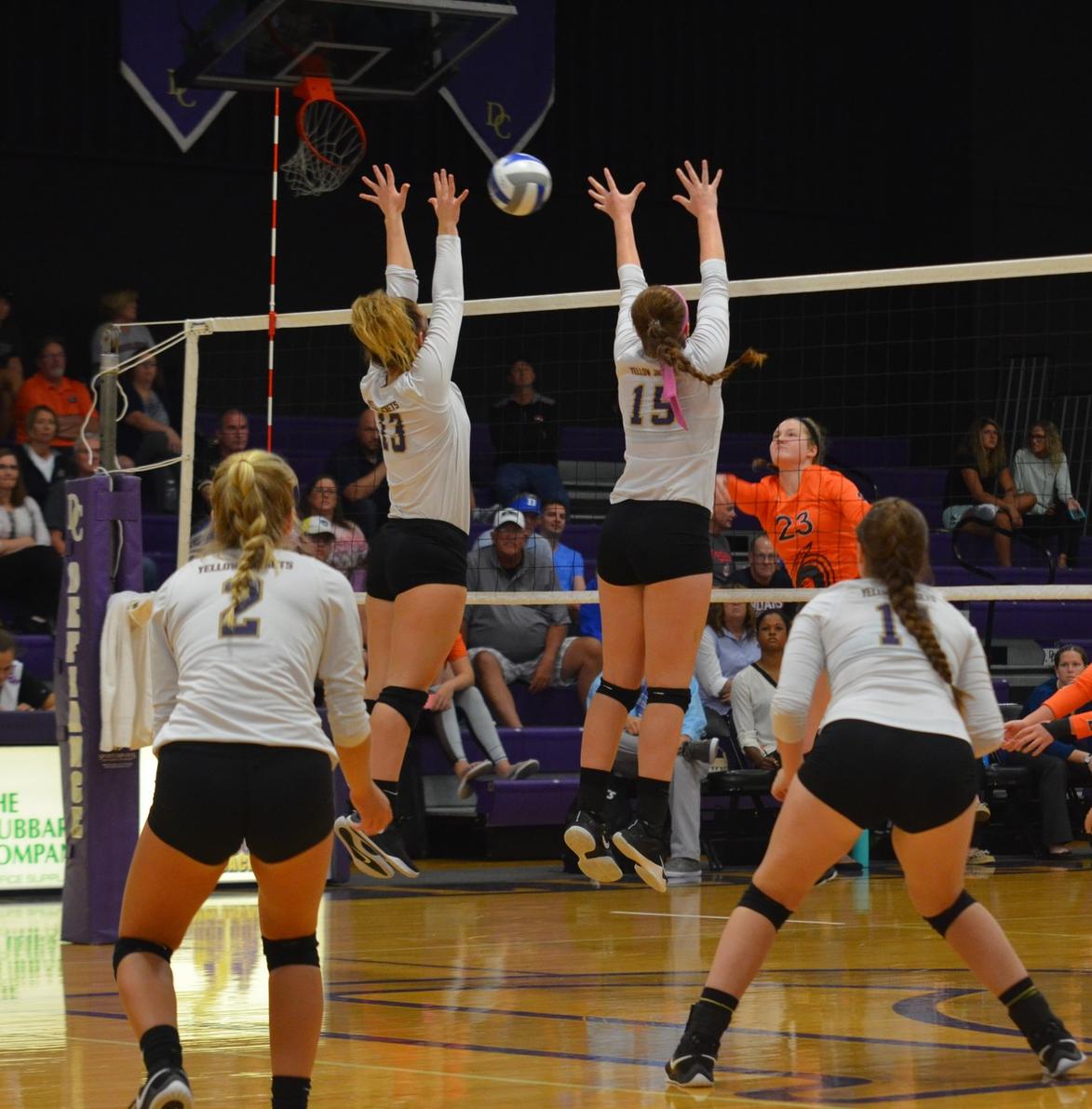 Volleyball Edged by Grizzlies in HCAC Play