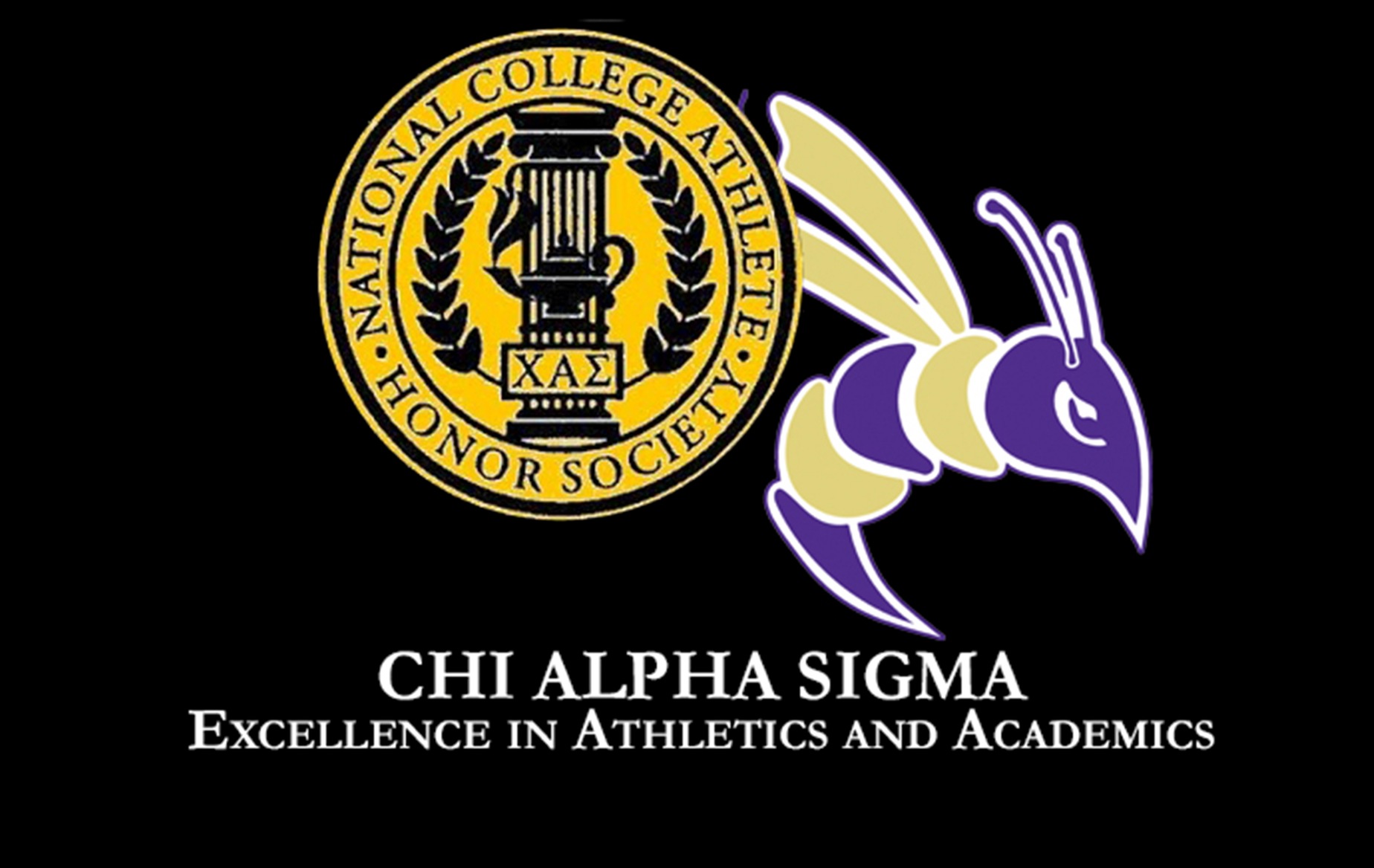 DC Has 31 Athletes Named to Chi Alpha Sigma Honor Society