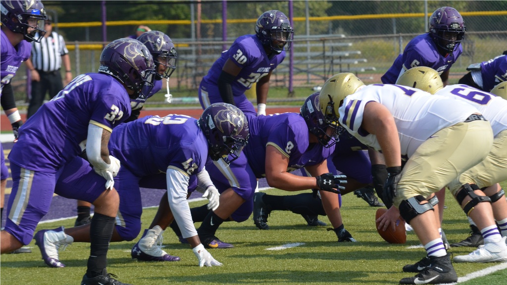 Football slips to Albion in home opener