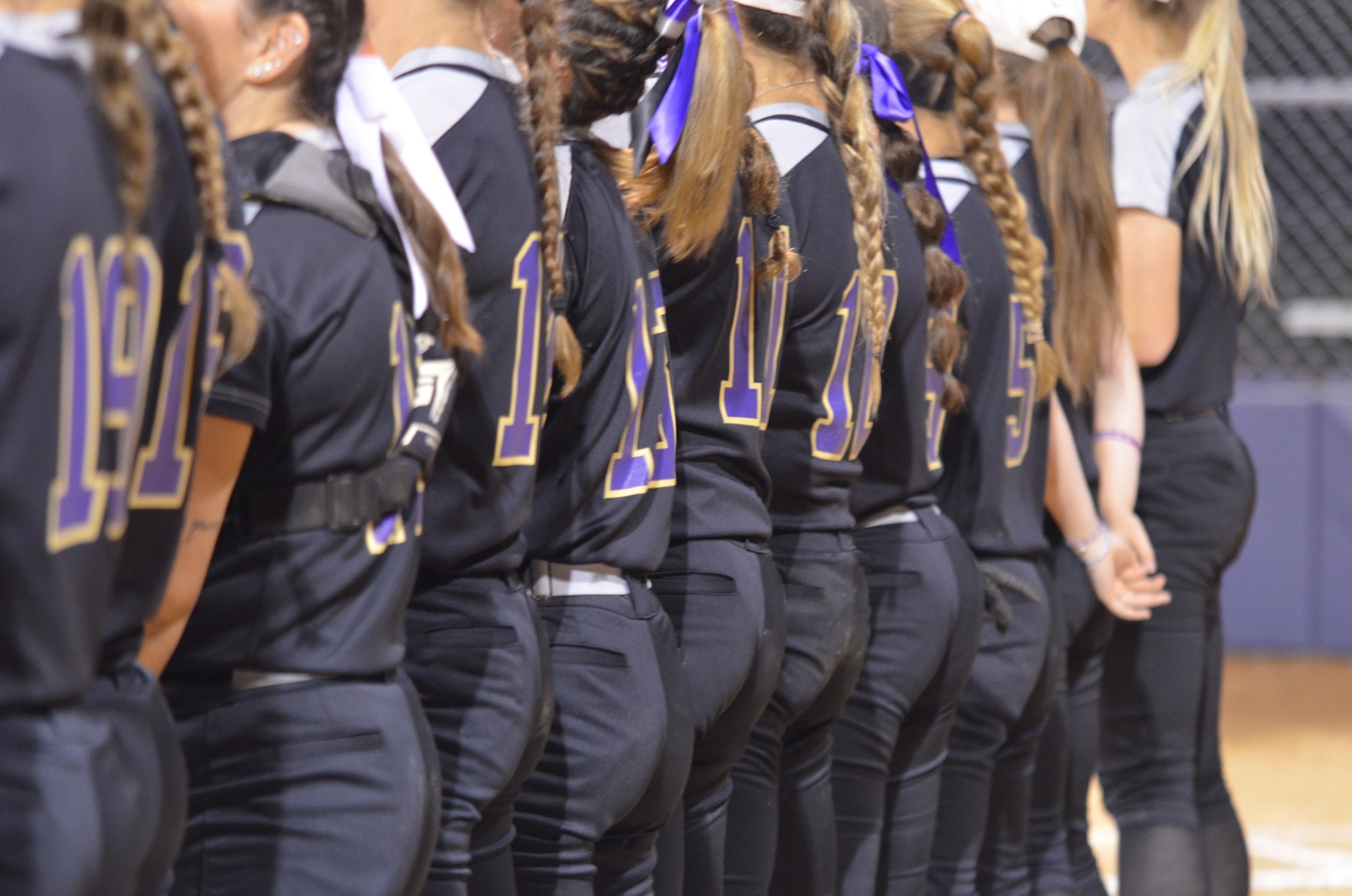Softball looks to an experienced roster for 2020 season