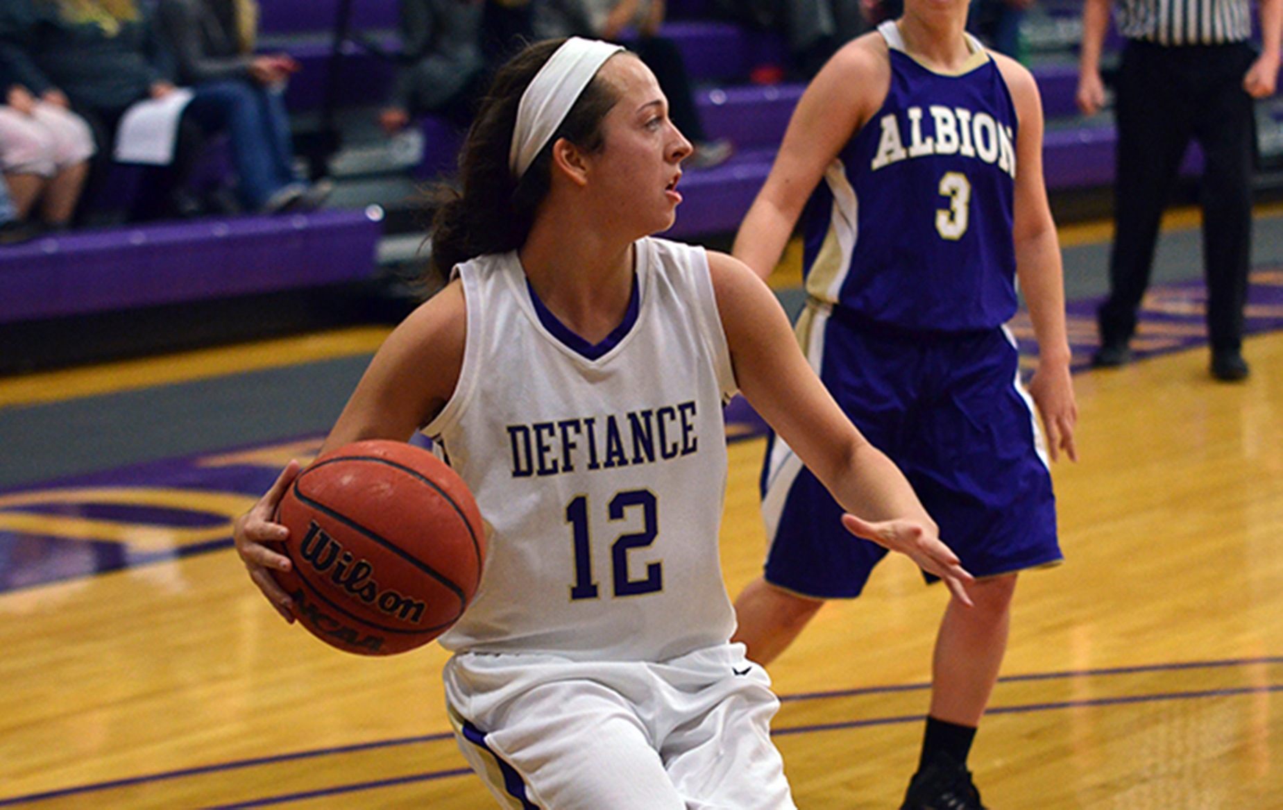 Women's Hoops Defeated by Rose-Hulman (Ind.)
