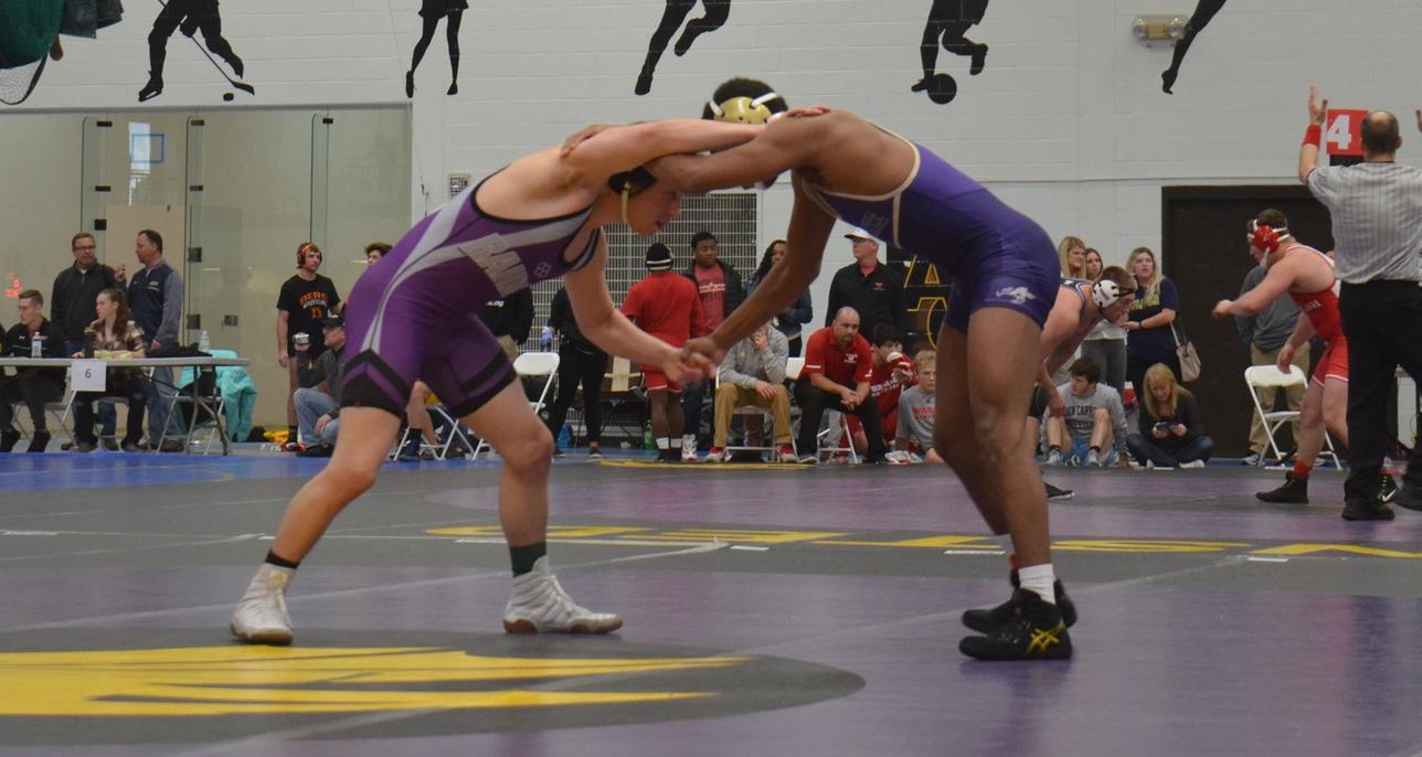 Wrestling Competes at the Findlay Open