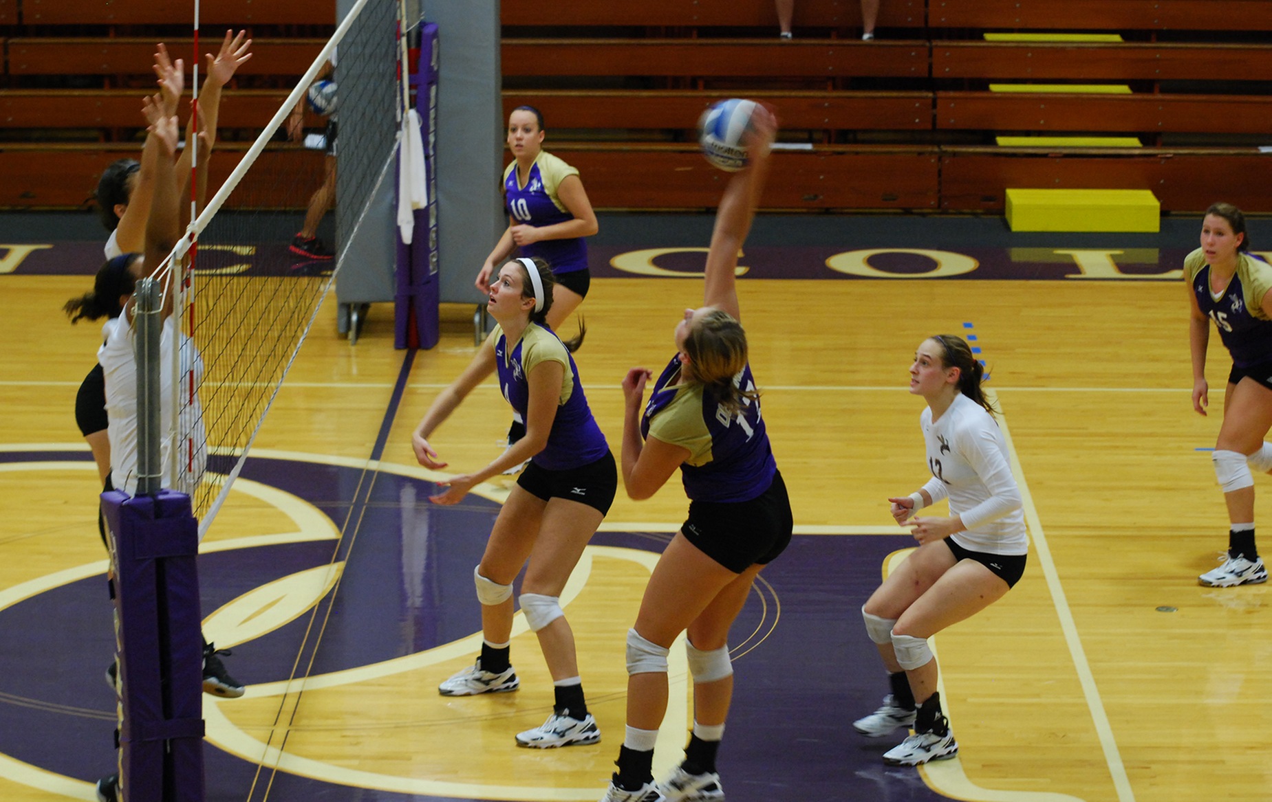 Volleyball Suffers First HCAC Defeat Against MSJ