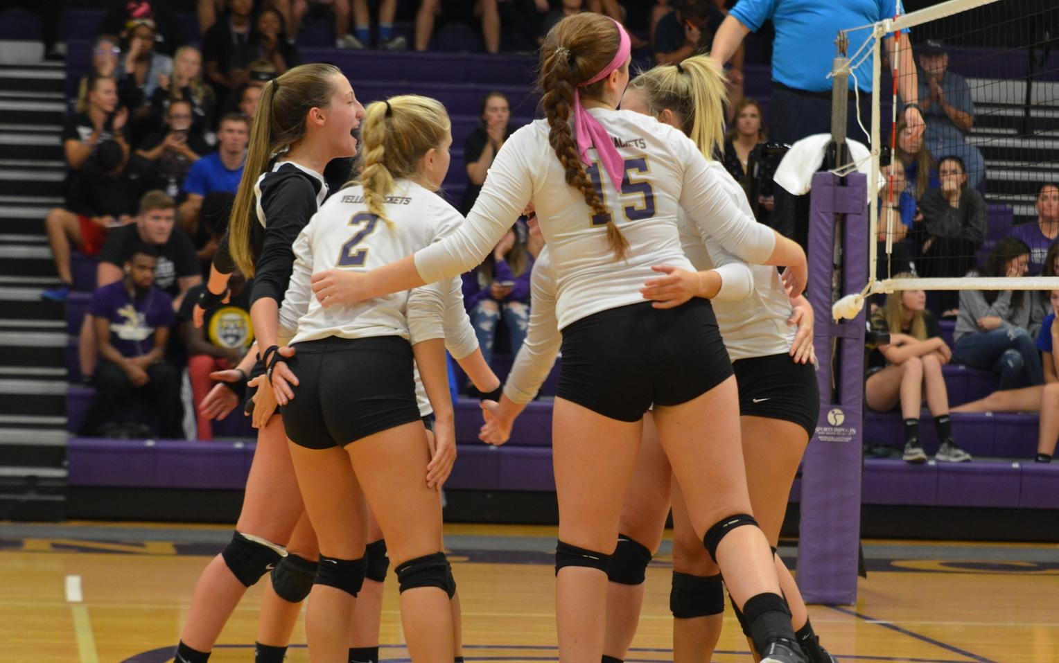 Volleyball Competes at the North Park Invitational