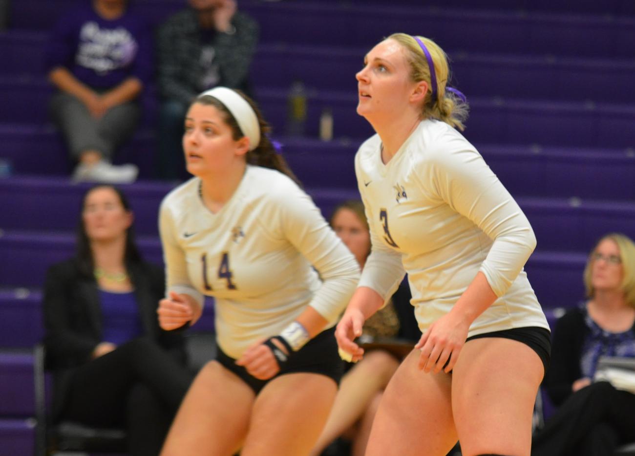 Volleyball Stifled at Albion