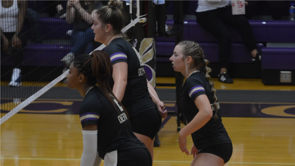 Volleyball defeated by Anderson