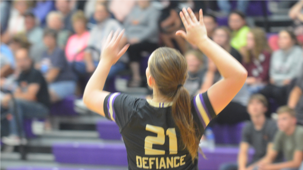 Volleyball drops road contest at Hanover