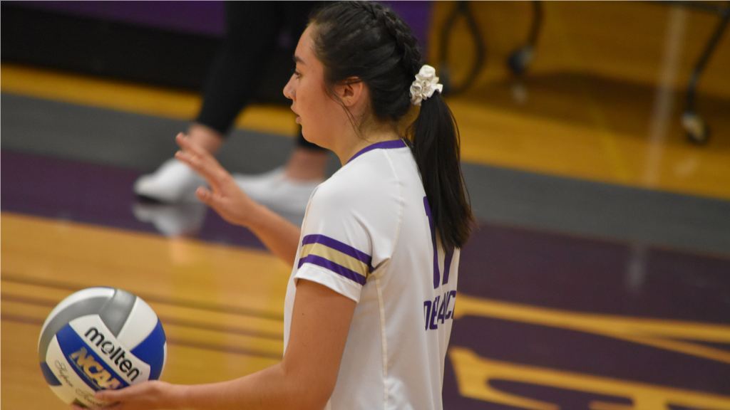 Volleyball slips on the road at Transylvania