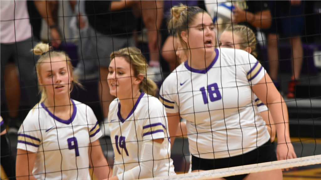 Volleyball drops final road contest to Lions